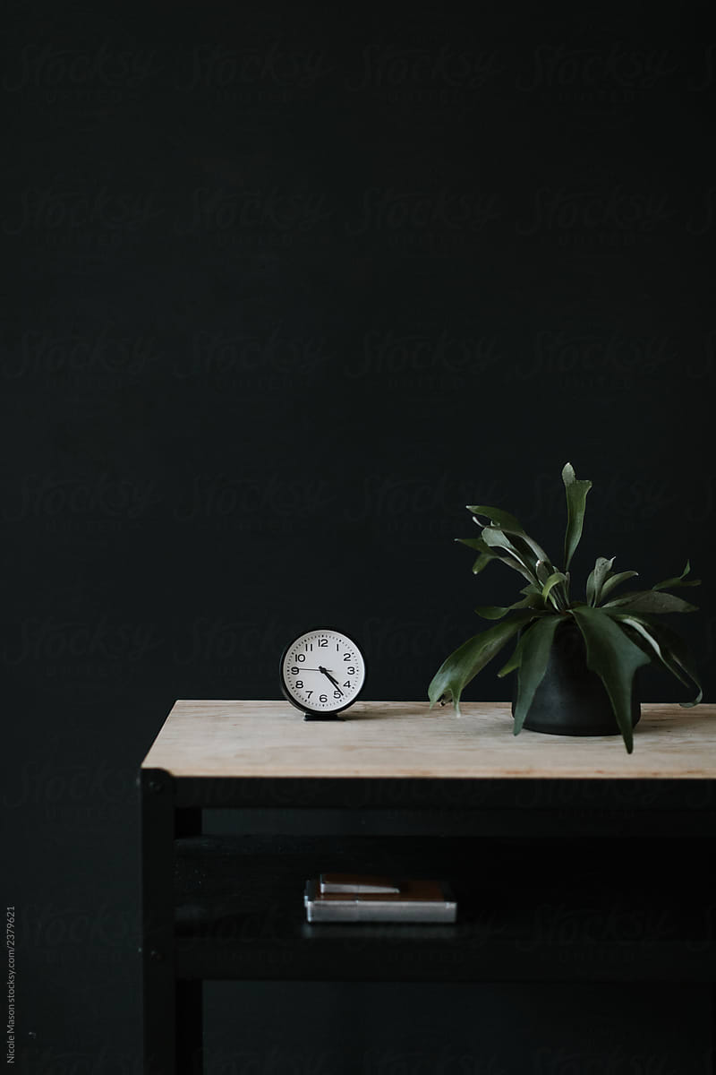 plant and analog clock on table top in front of black wall