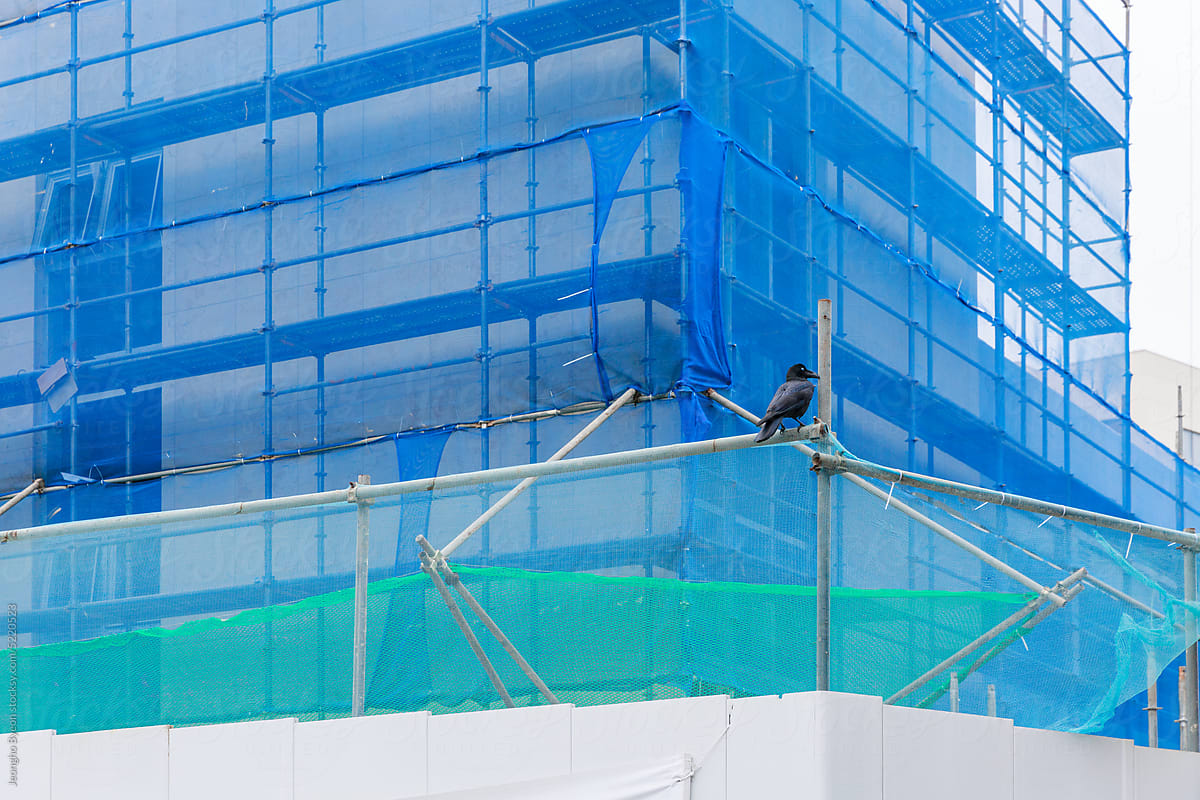 A building under construction and a crow.