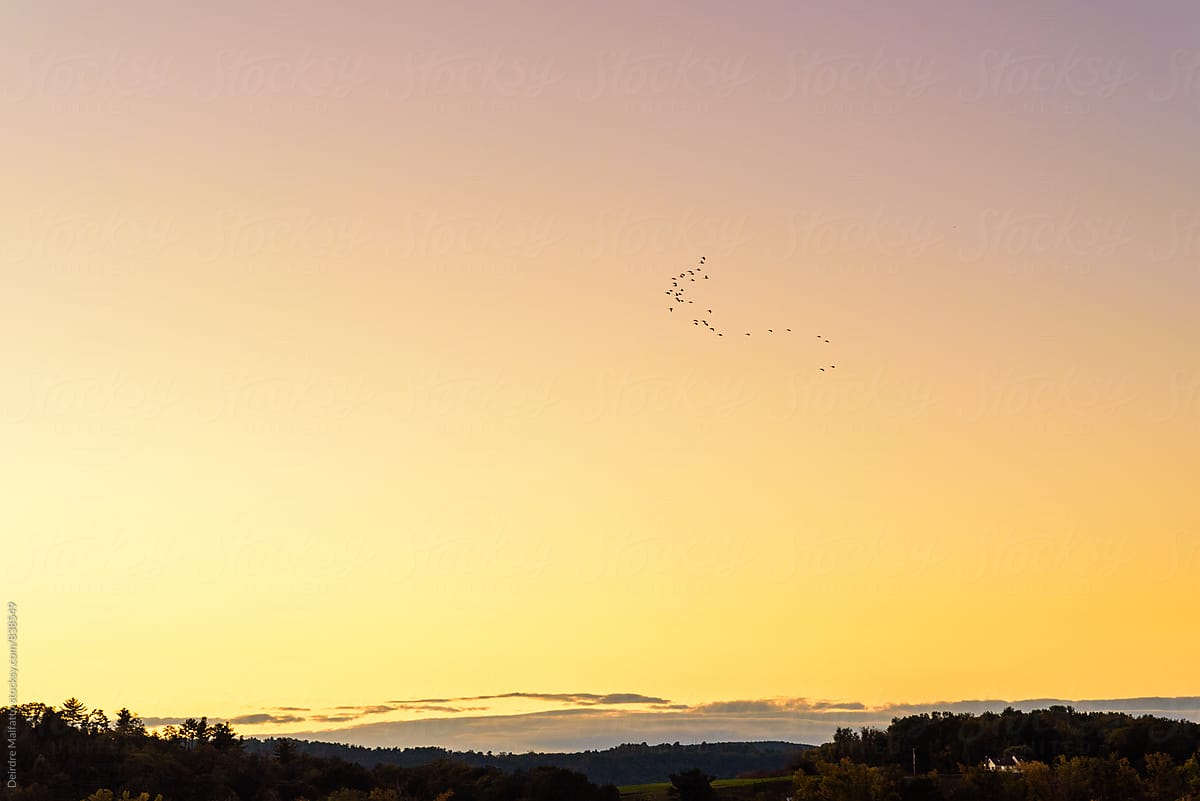 Sun setting over valley with birds in sky