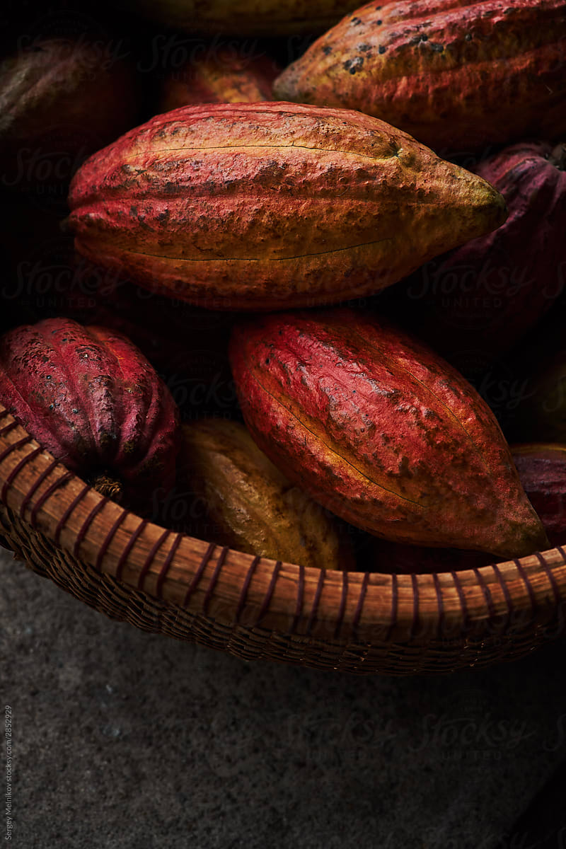 Bowl with ripe cocoa pods