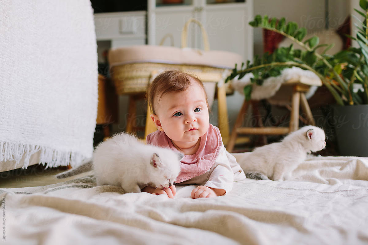 Baby and cats