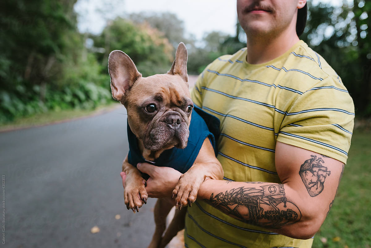French bulldog with tattooed owner