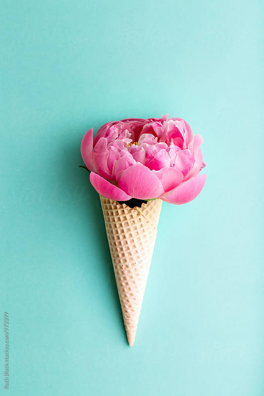 Peony rose in a wafer ice cream cone