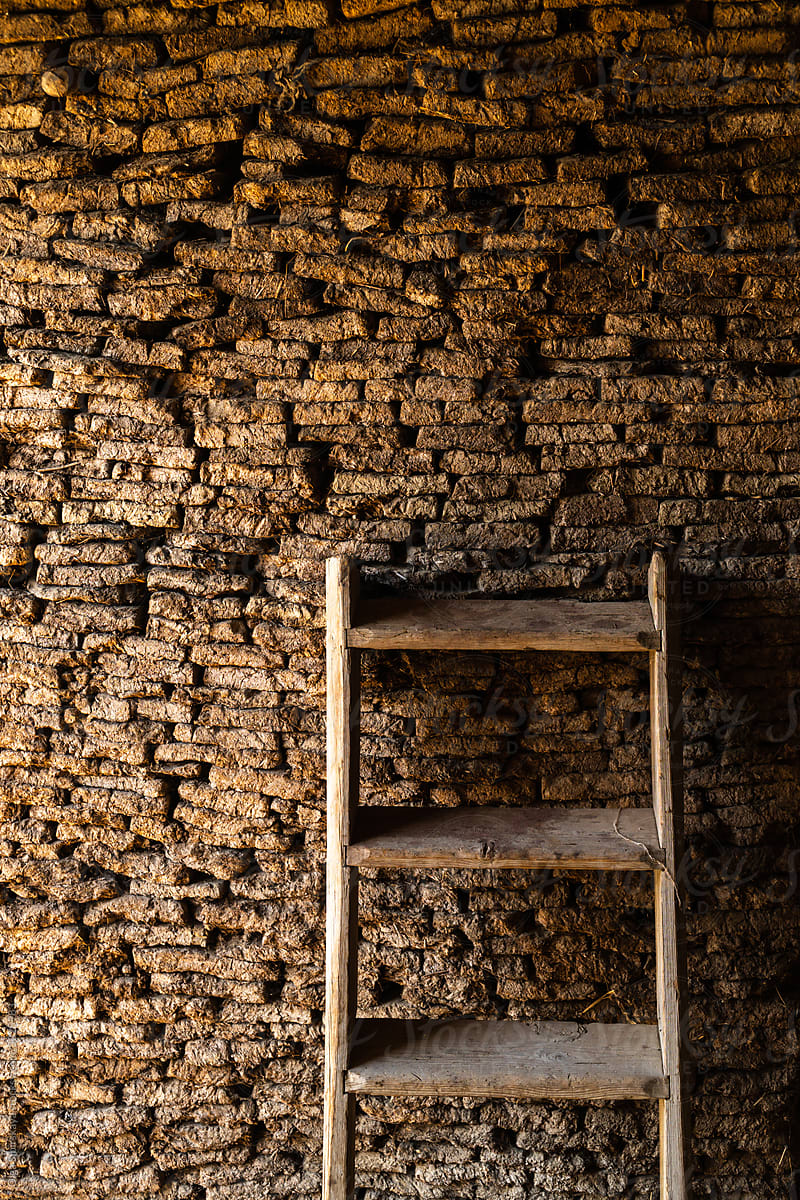 dried manure and ladder