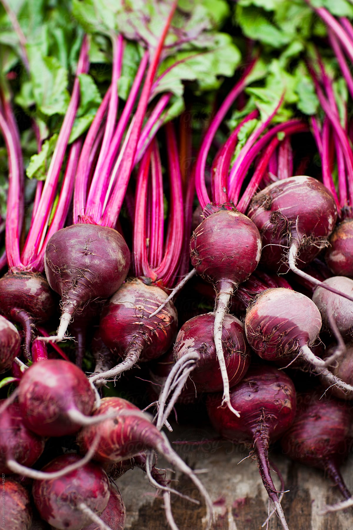 Red Beets at Farmer's Market