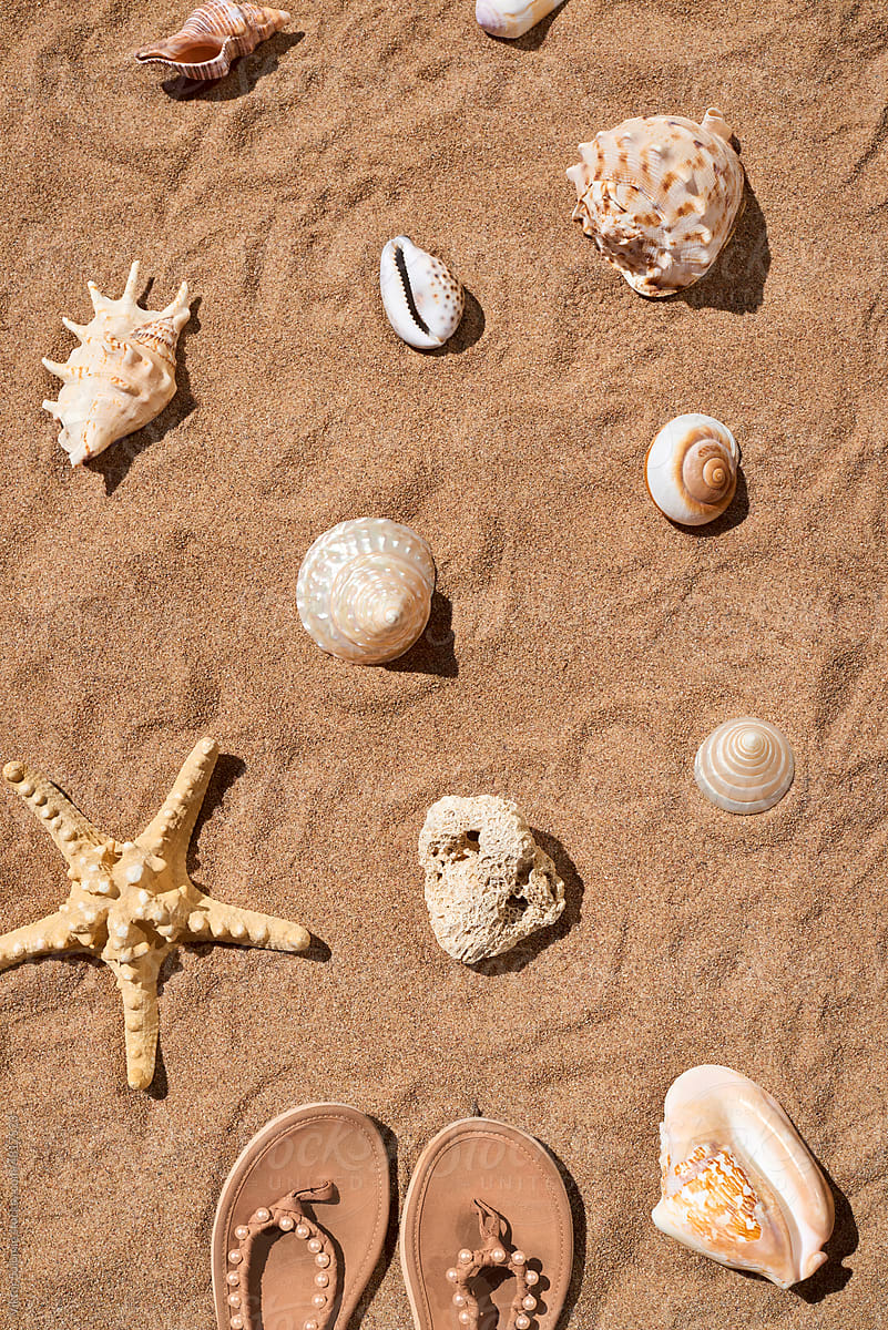 Starfish and seashells on sand with summer shoes, flip-flops