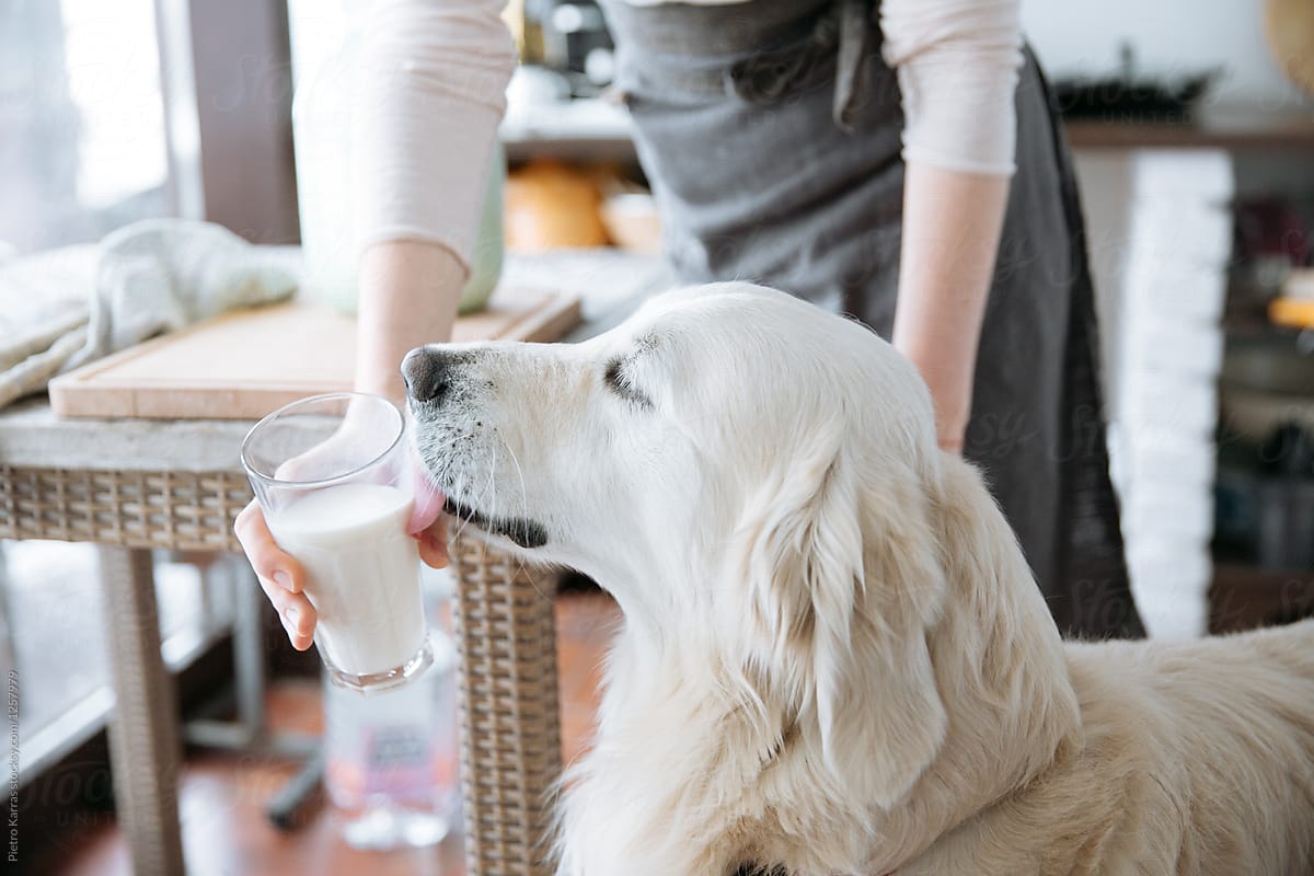Woman giving dog glass of milk