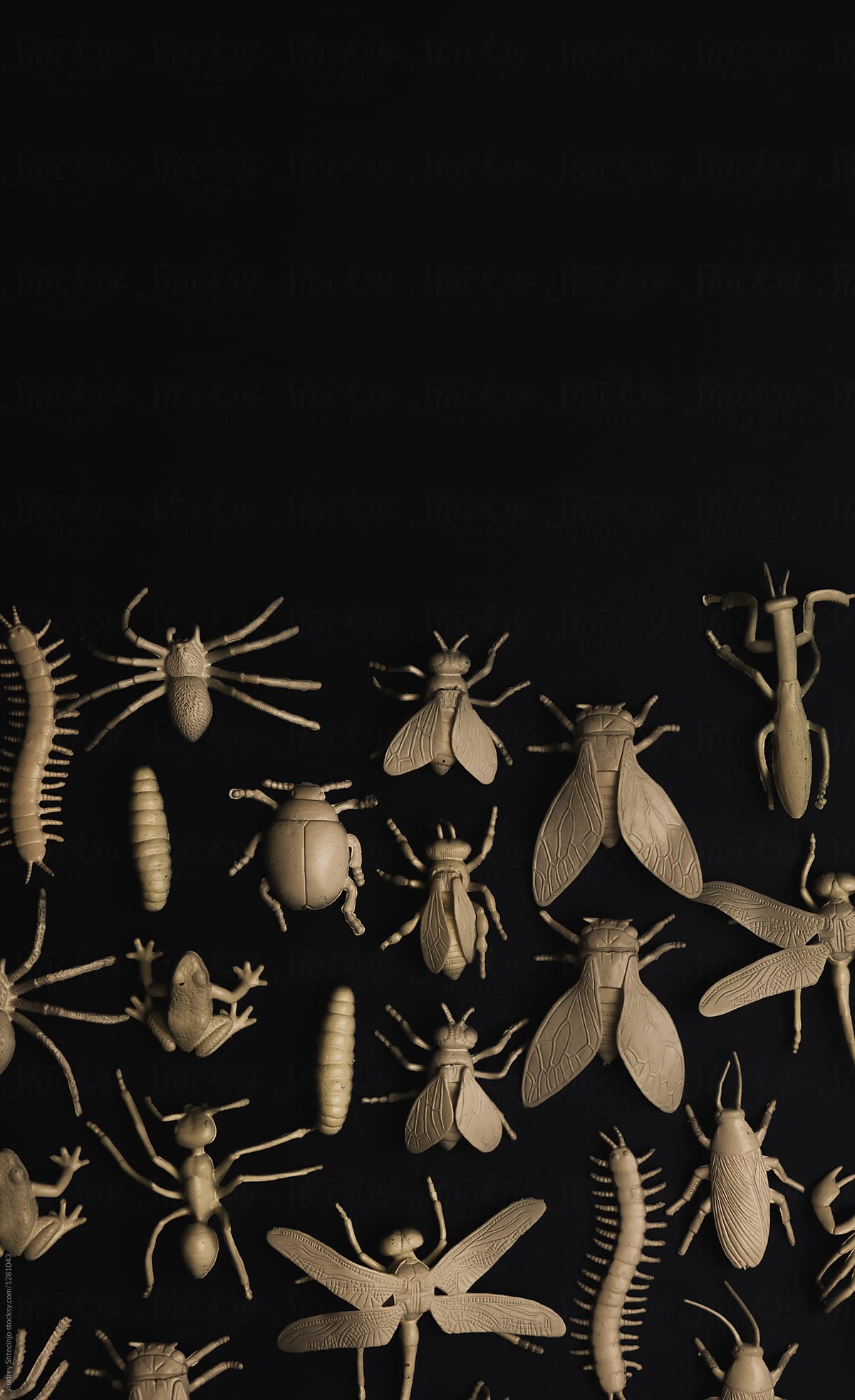 Insectorium/collection of bugs/insects.