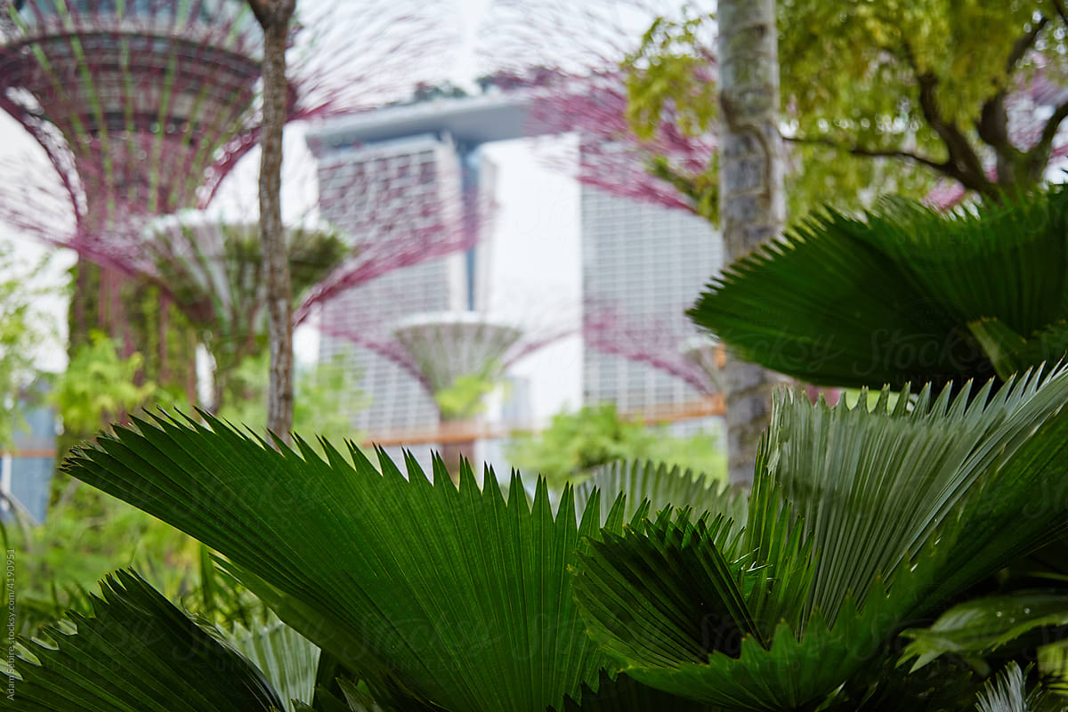 Singapore vertical garden towers, urban regeneration