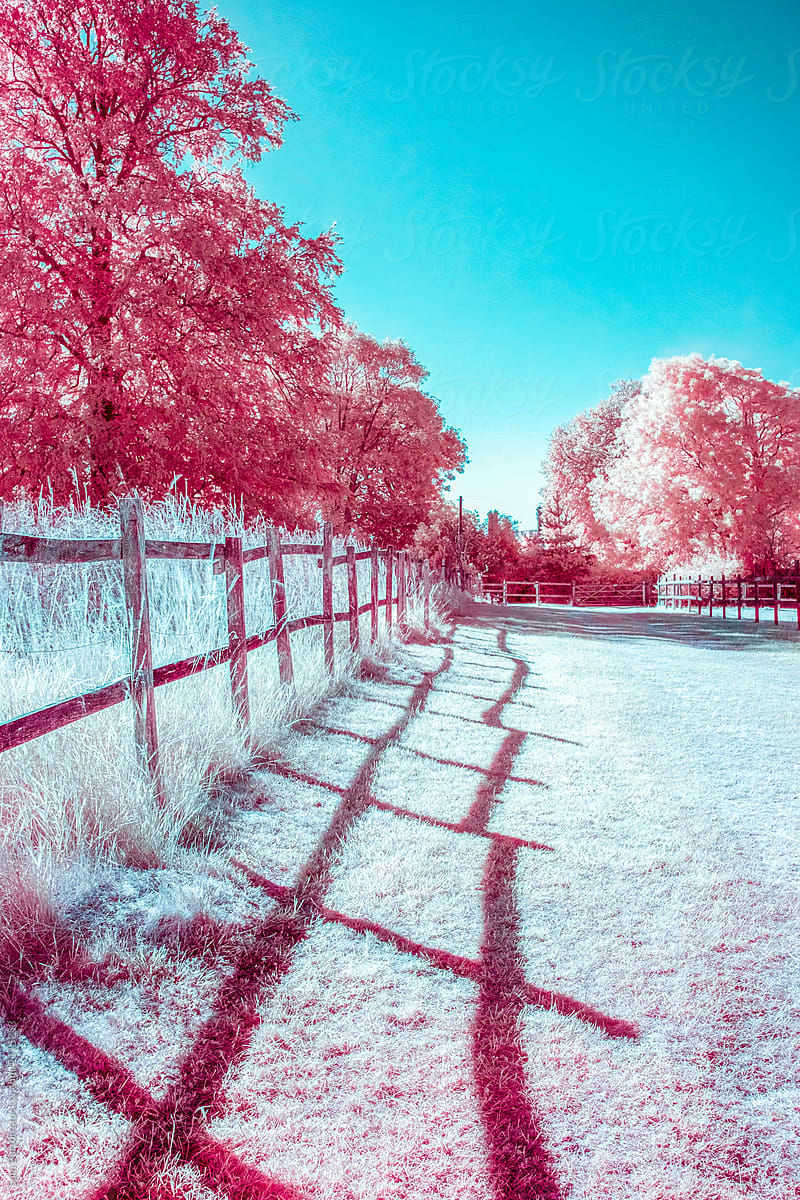Infrared countryside in England