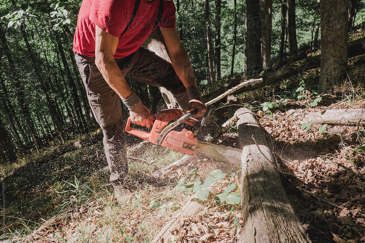 Man cutting wood with a chainsaw