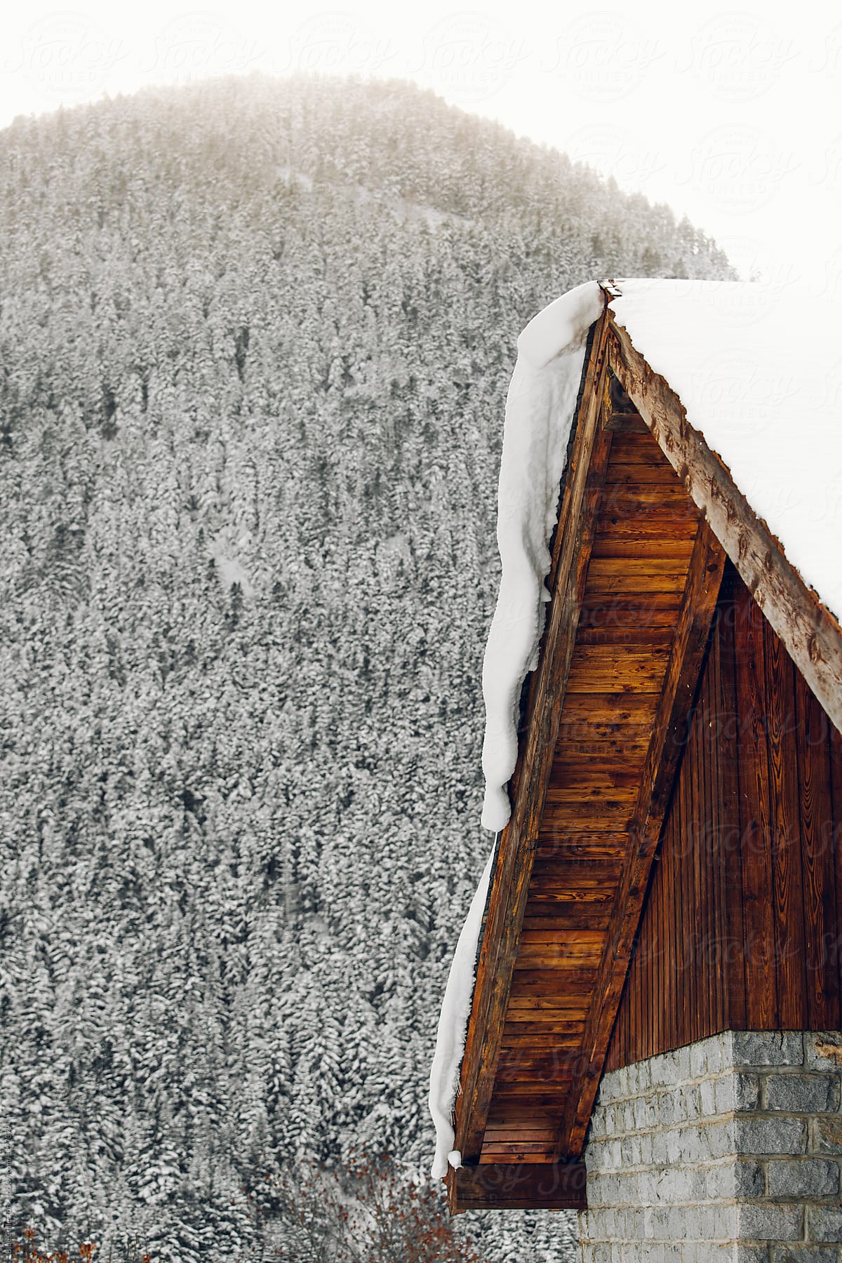 detail of a snowy wood cabin