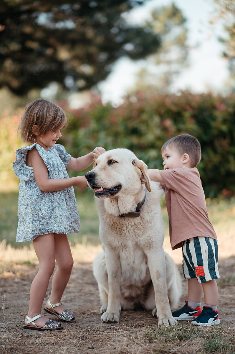 Kids patting dog.