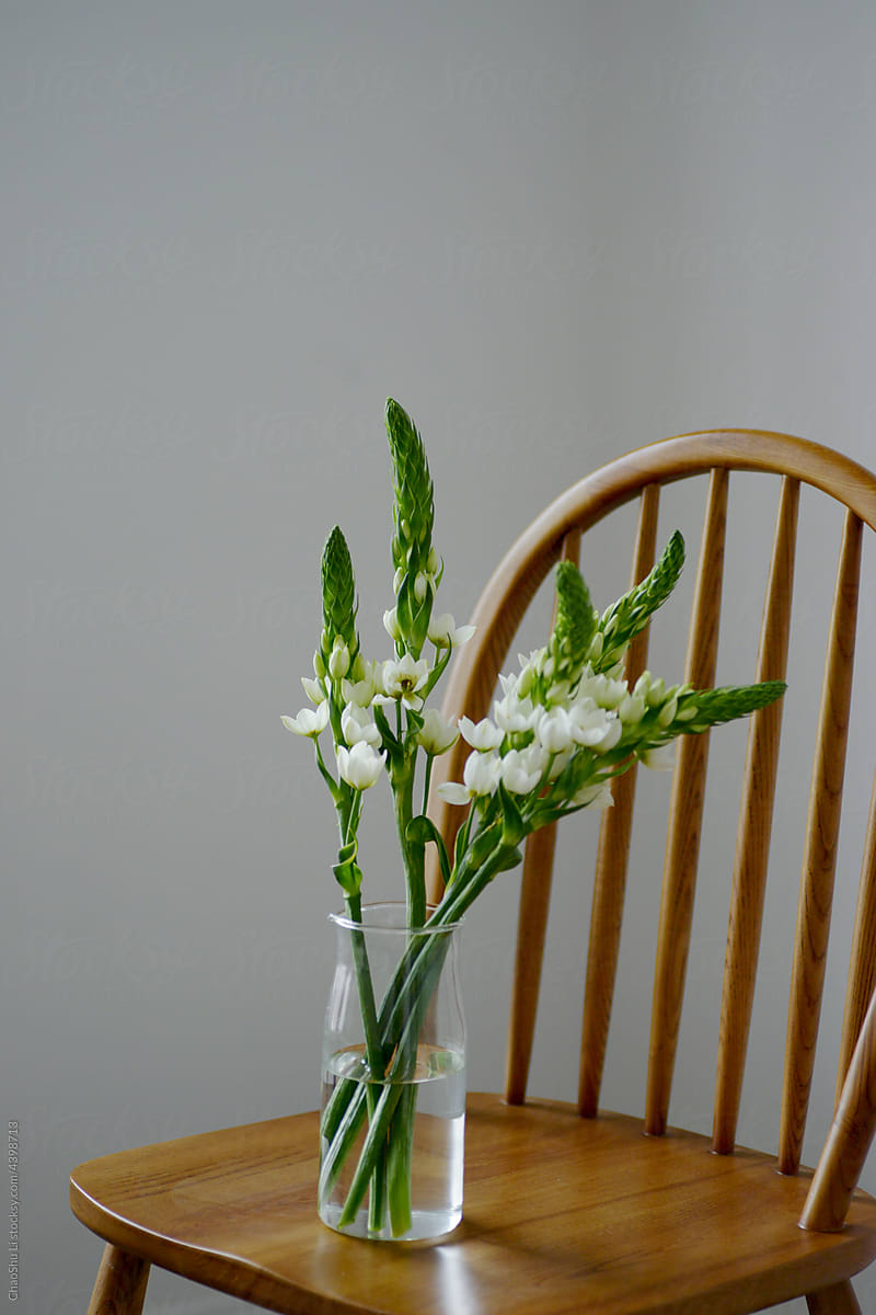Close up of fresh home decor plant flowers
