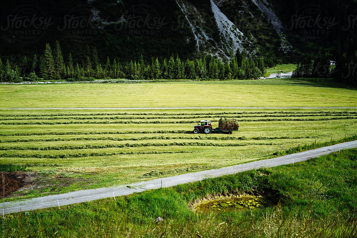 Tractor in hay field