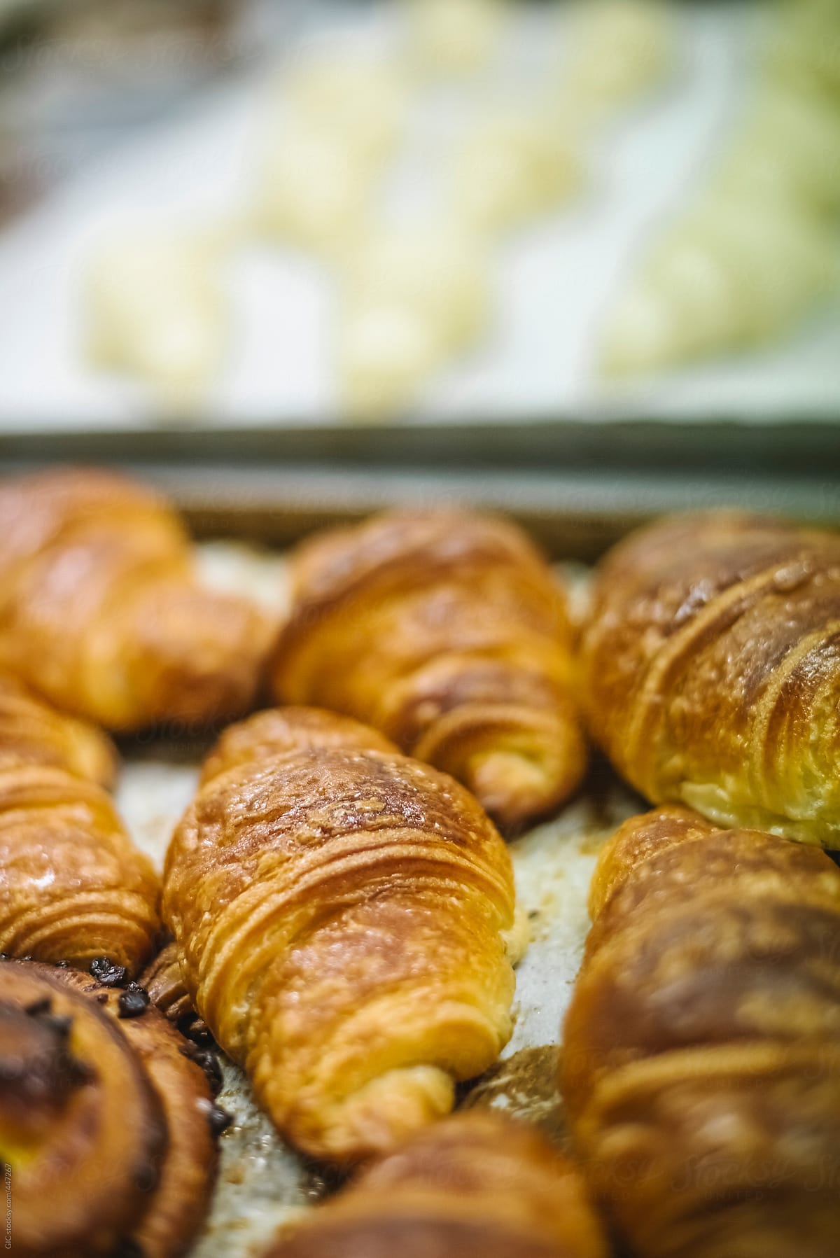 Close up of baked french croissants
