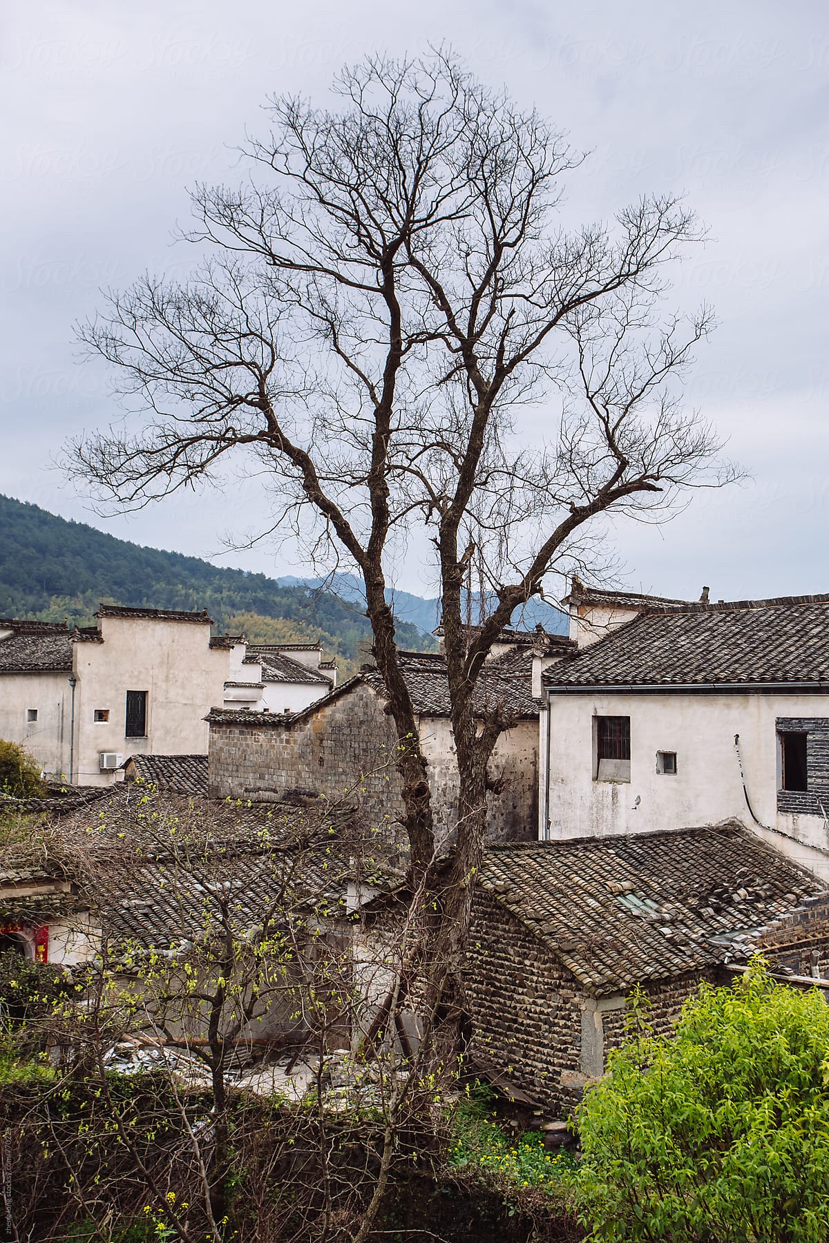 Hongcun,the village in Chinese painting,Anhui province,China