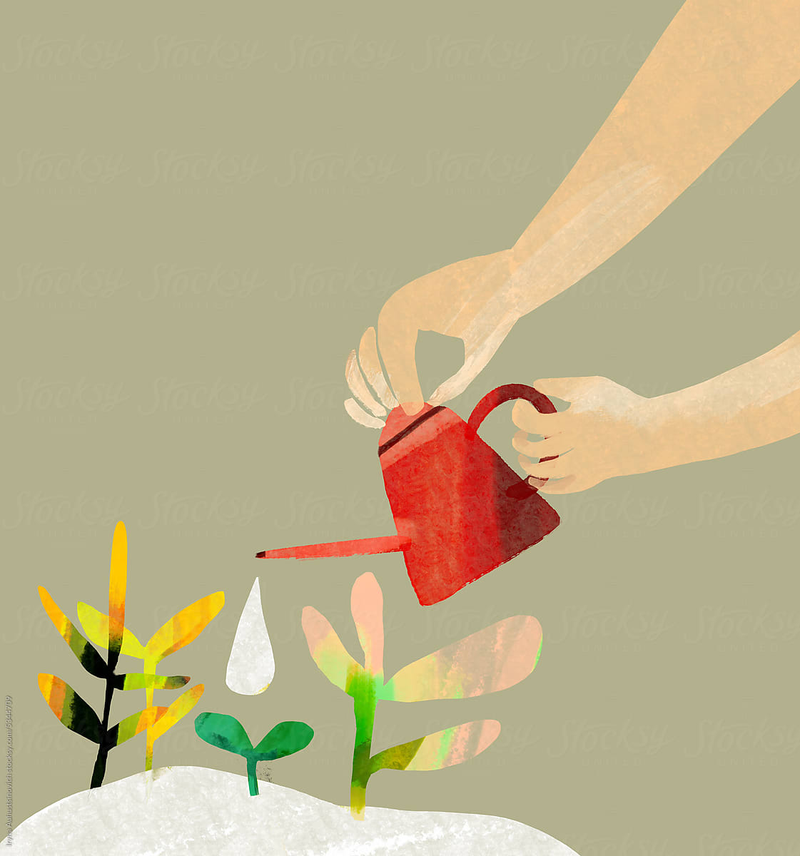 Hands watering the plants