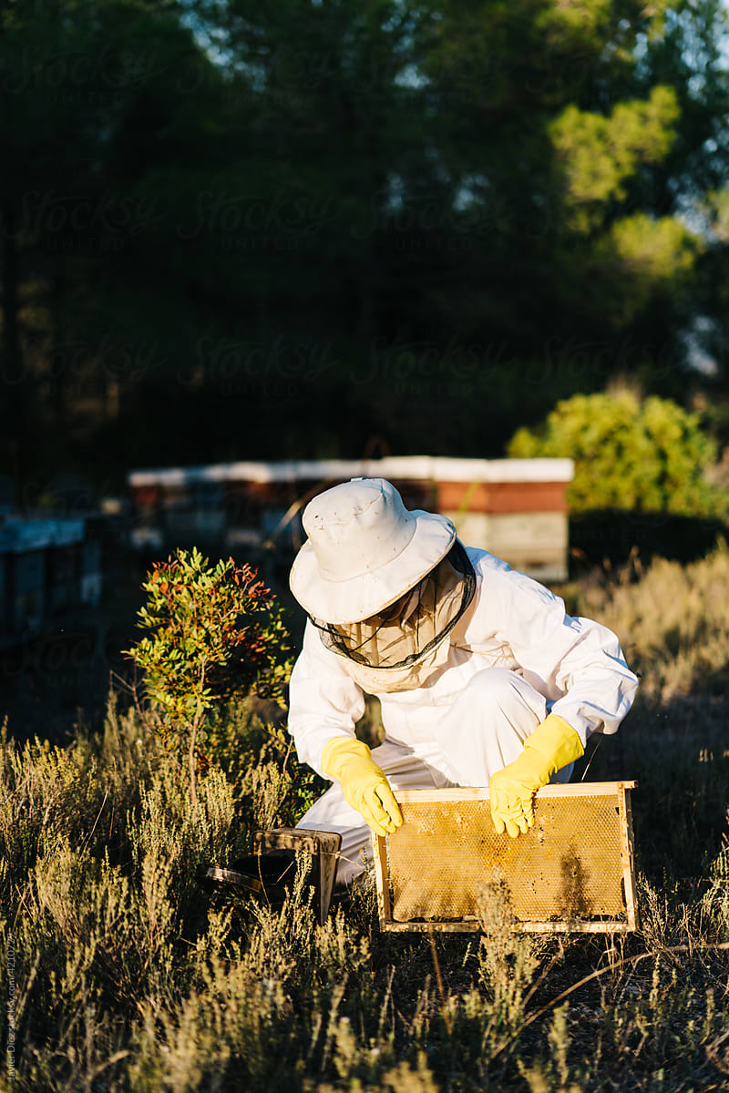 Anonymous beekeeper working on apiary