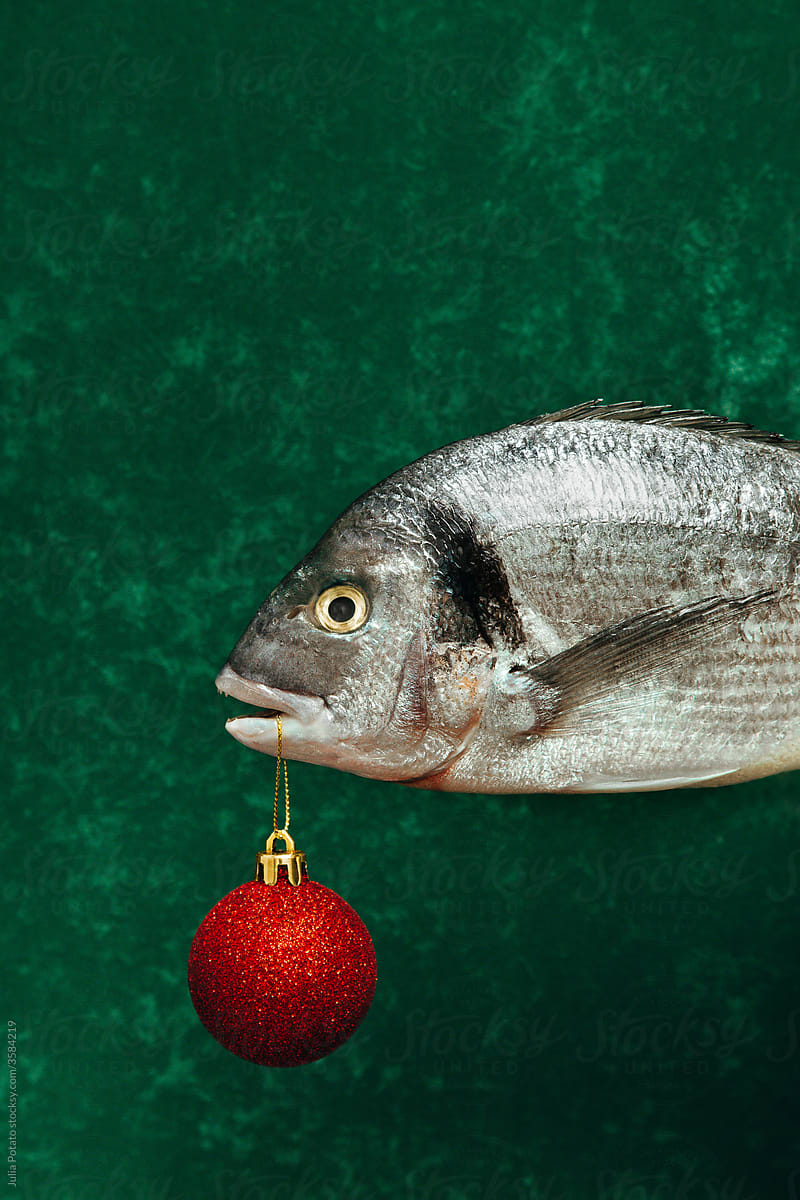 A fish with Christmas tree toy