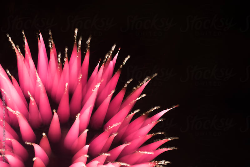 Blurred abstract shape of a fireworks burst
