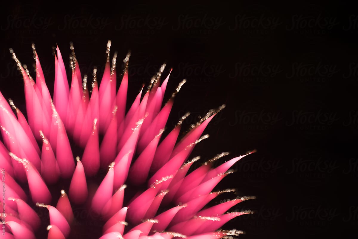 Blurred abstract shape of a fireworks burst