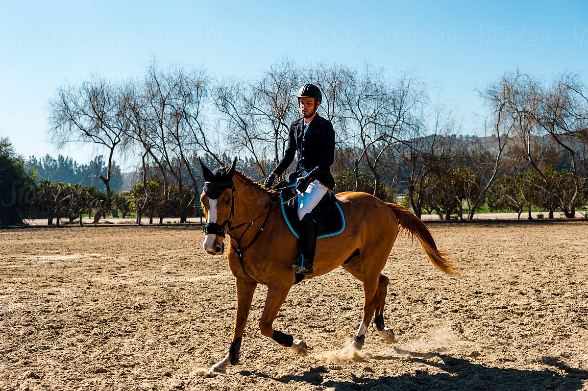 Jockey equestrian
