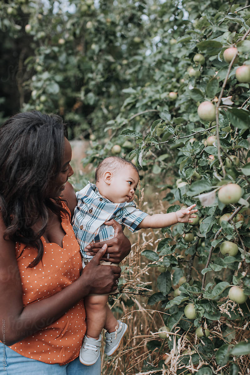 A Baby in his Mother\'s Arms Reaches out to Grab an Apple off a Tree