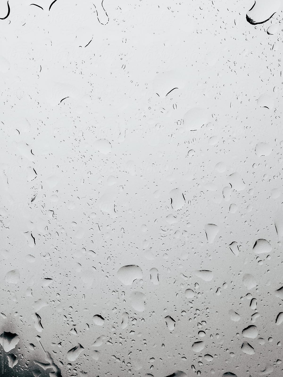 Water Drops on Car Windshield