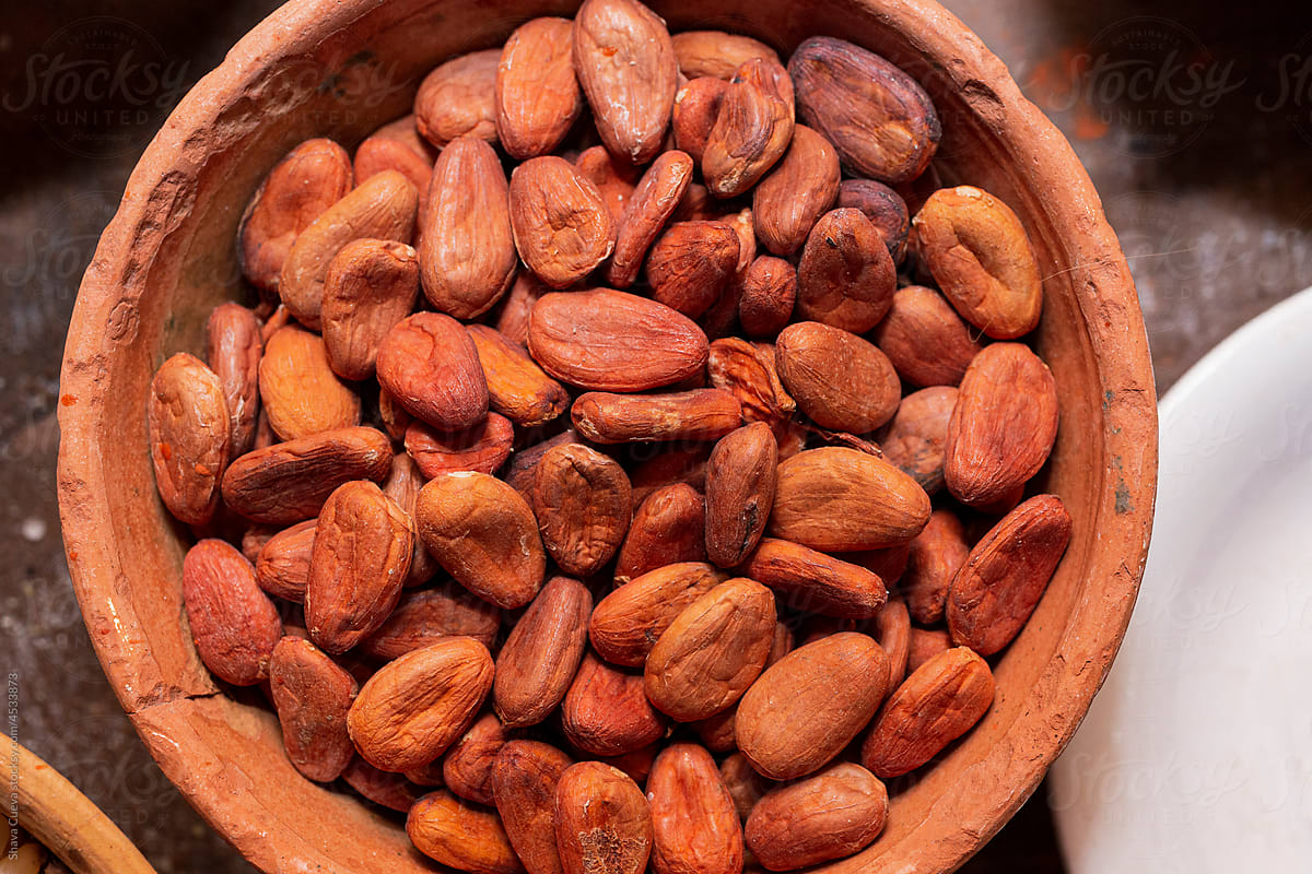 Close up of a clay bowl container with cocoa beans