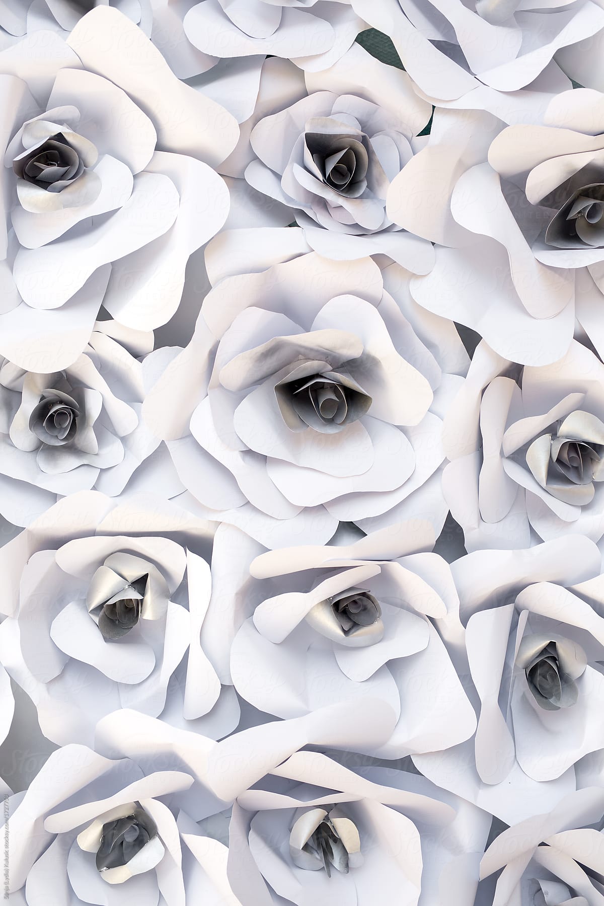 Big White Floral Paper Art Wall By Sanja Lydia Kulusic