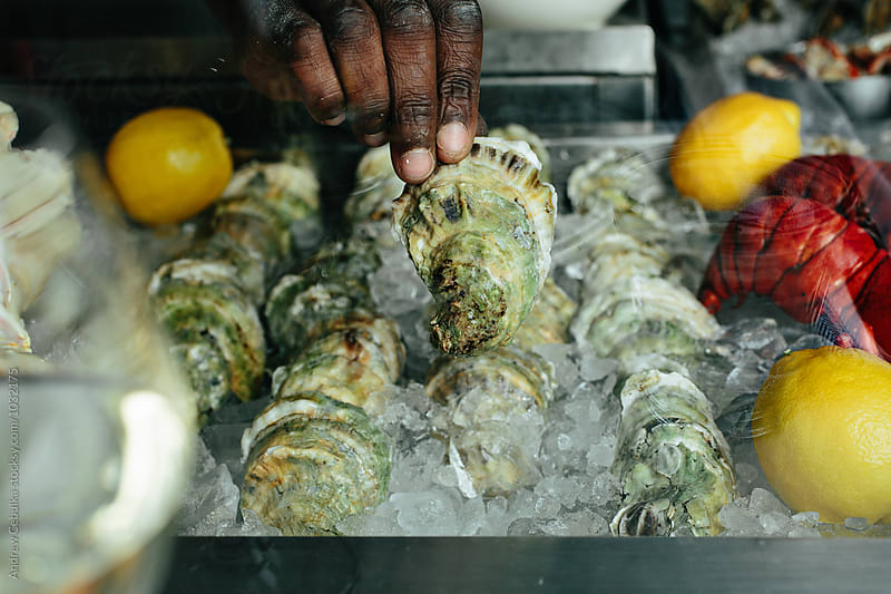 Oysters ready to be consumed at a raw bar