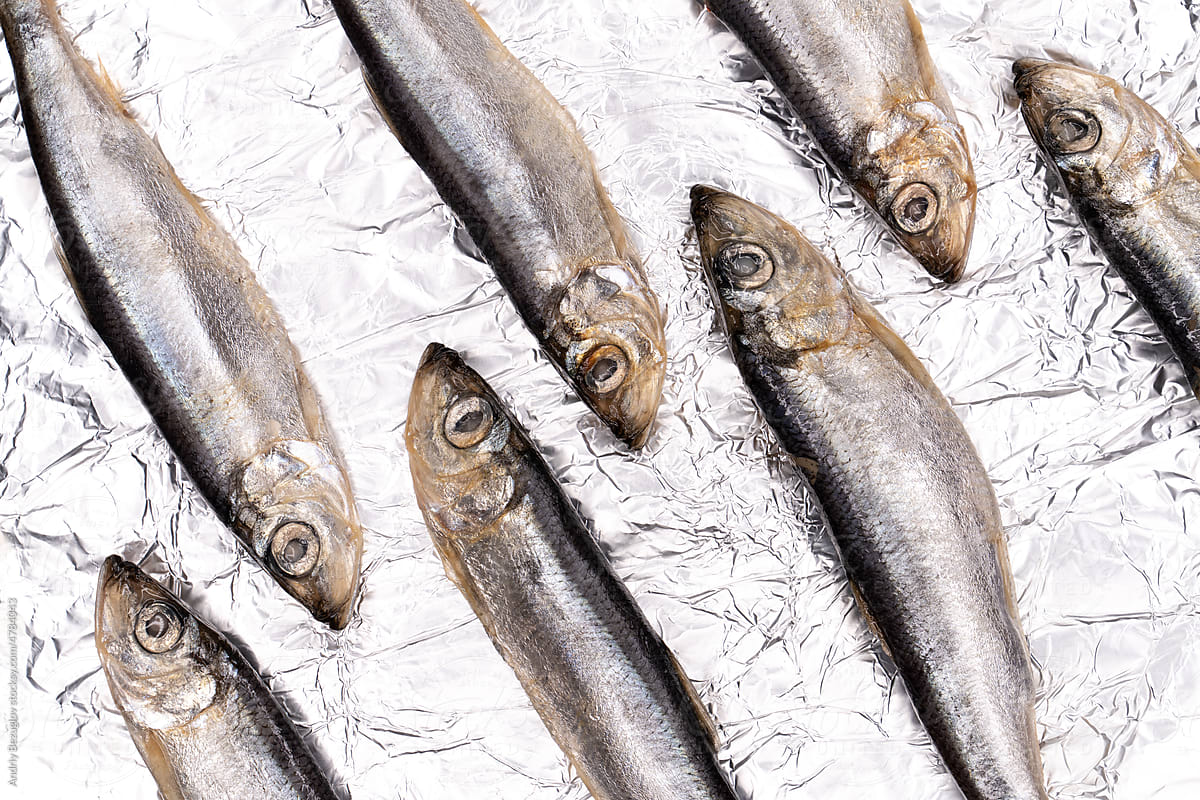 Shiny aluminum foil with anchovy fishes on it
