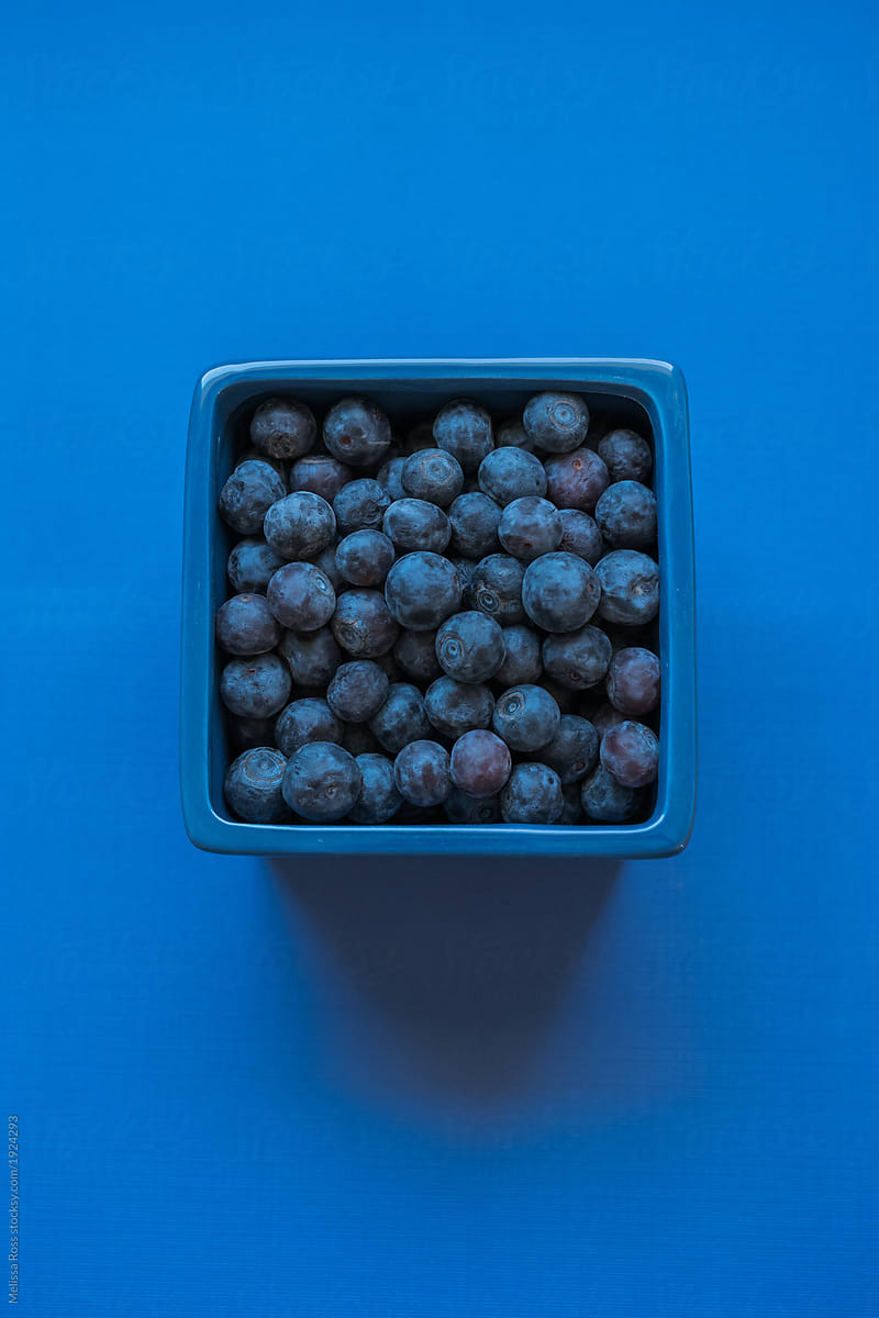 Blueberries on blue.