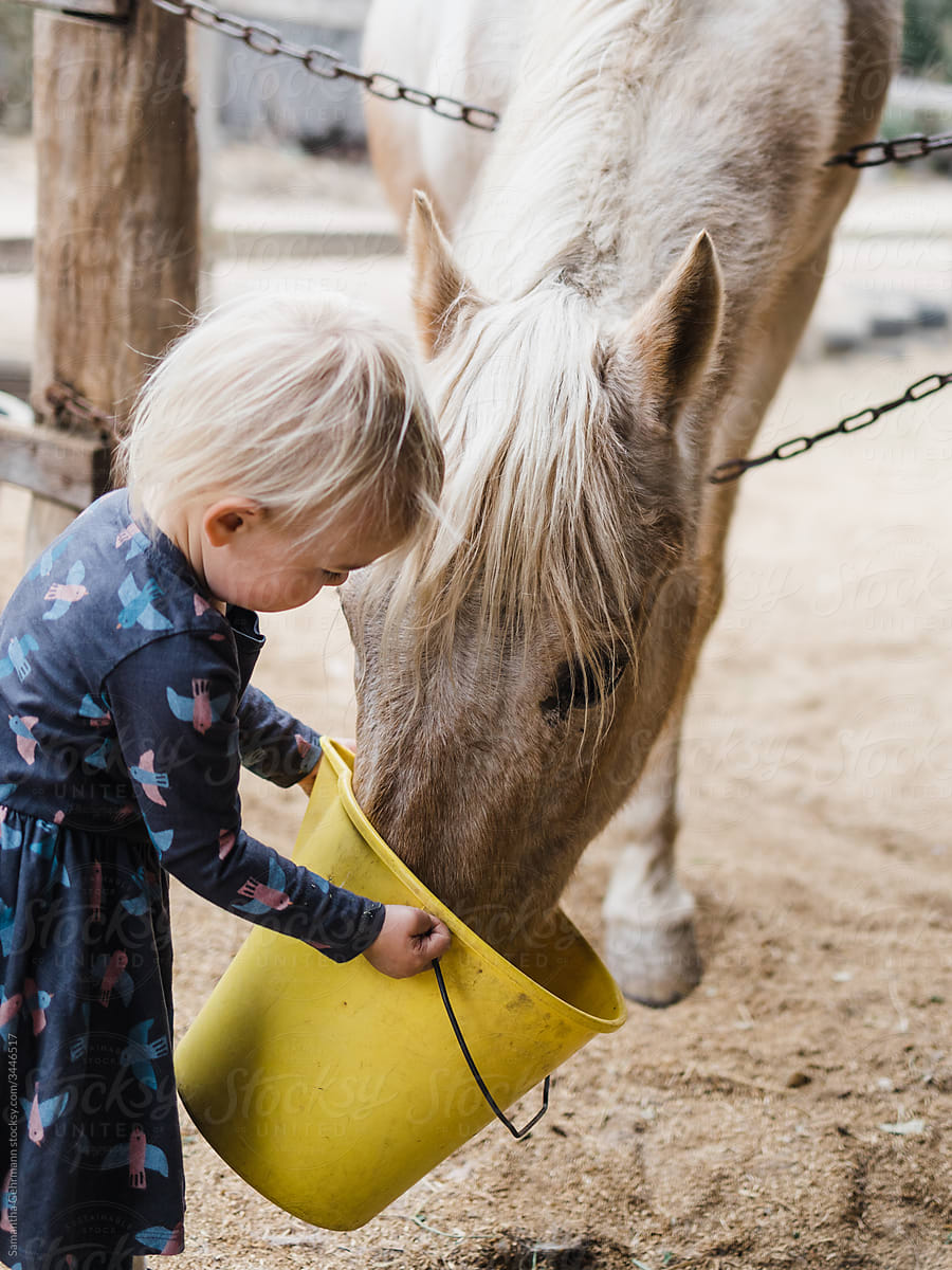 Little girl feeds an old horse