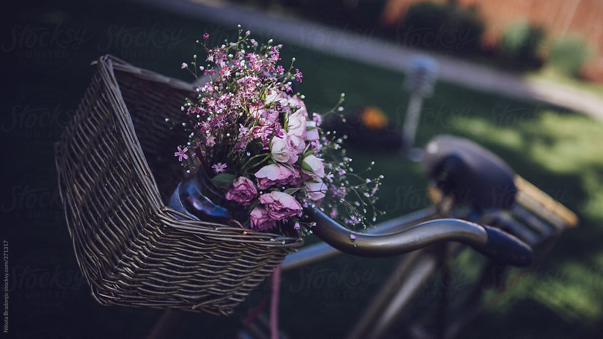 flowers in woven basket on bicycle