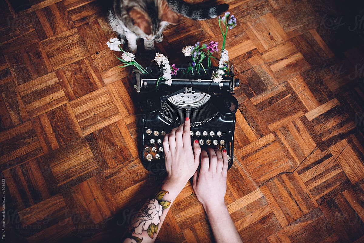 writting machine with flowers and a cat