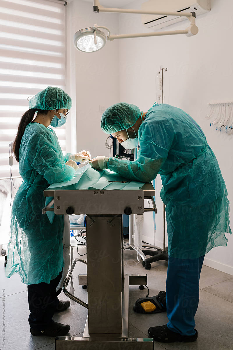 Vet doctors during surgery in operating room