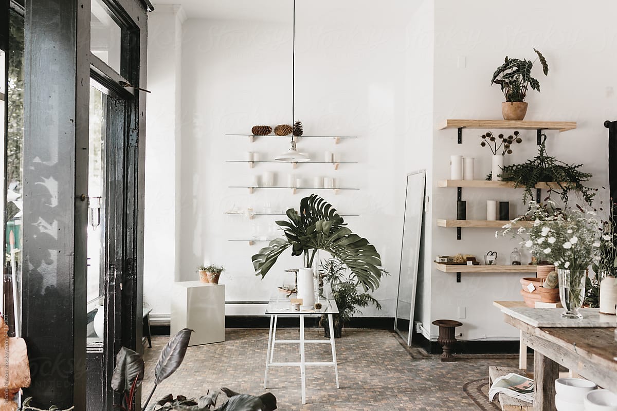minimal plant shop and studio