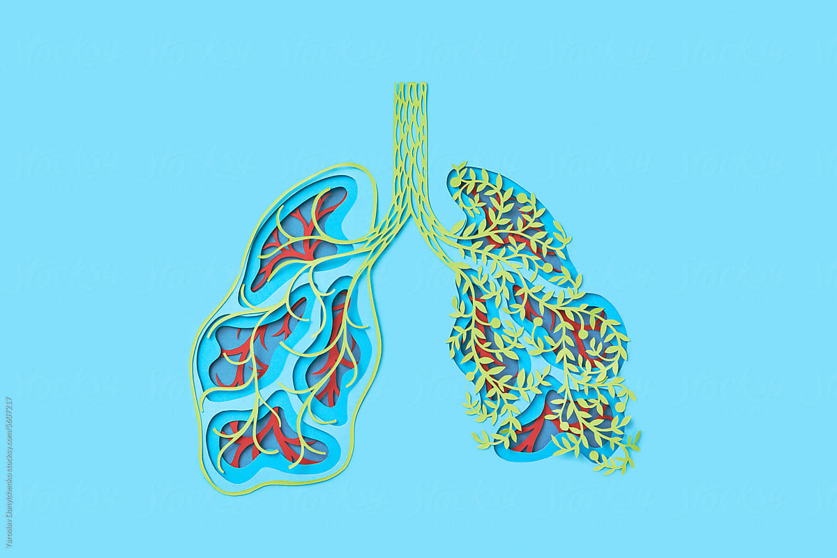Human lungs cut out of colored paper with affected one part
