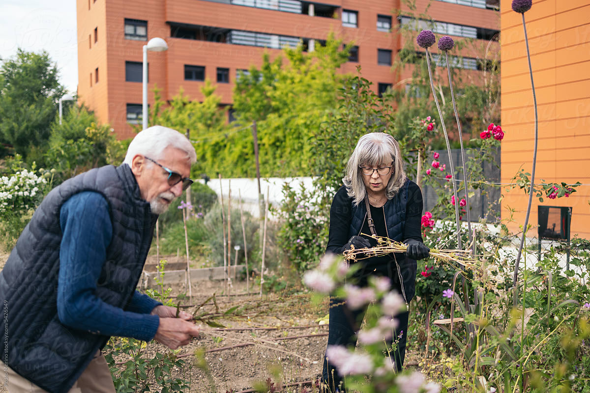Senior people working in a collaborative urban orchard