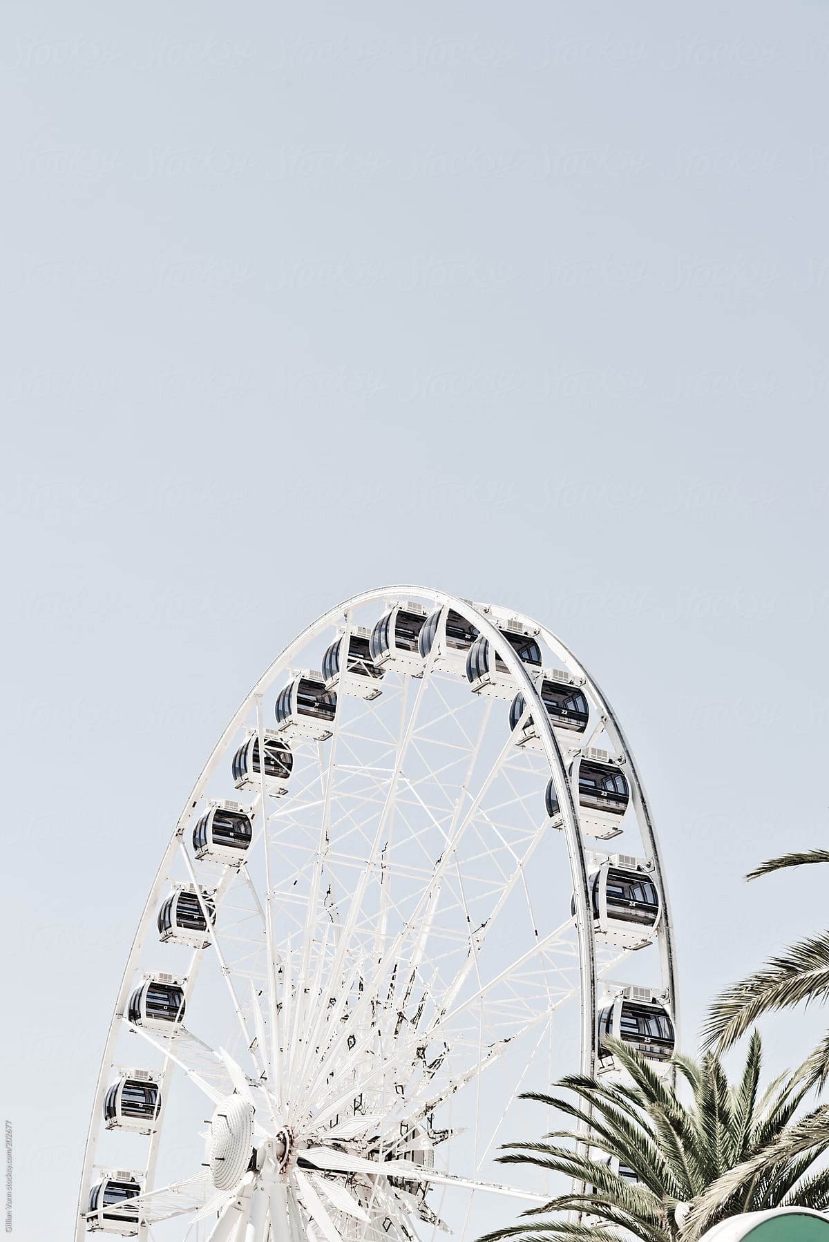 large ferris wheel