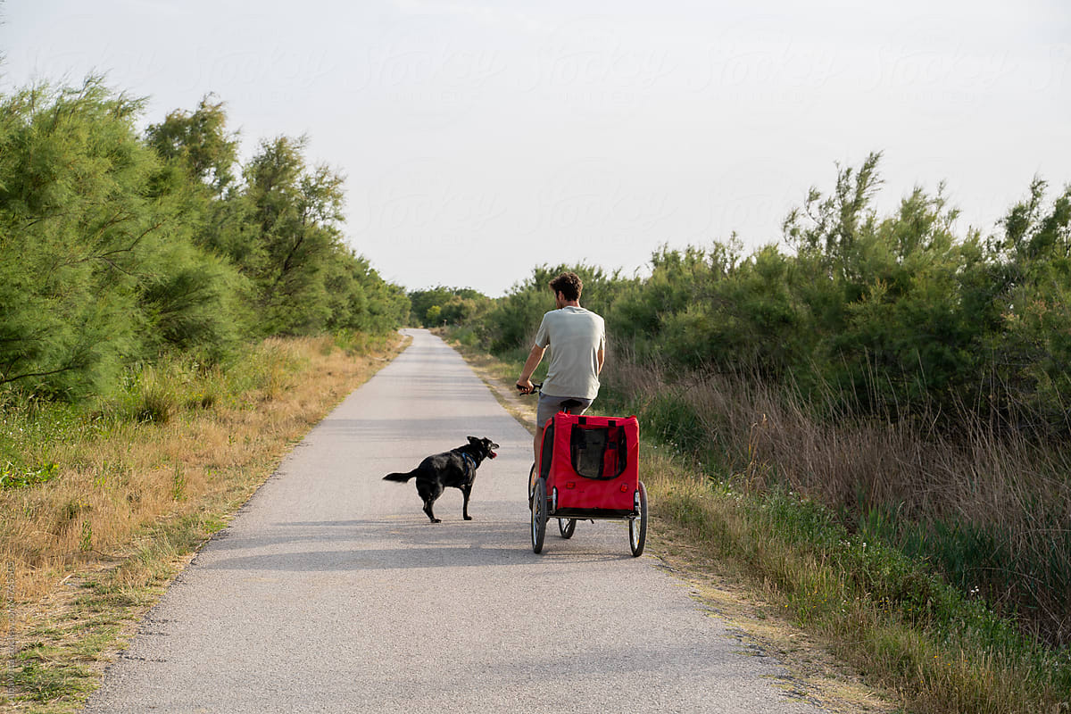 Man going for a bike stroll with dog trailer on nature