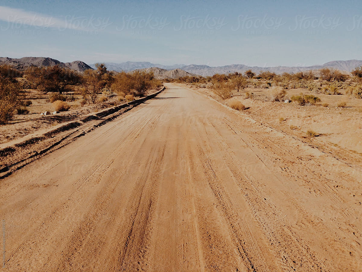 A Dirt Road in the Desert