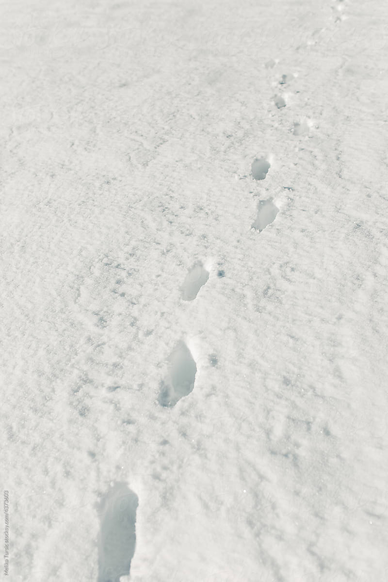 detail shot of snowy surface