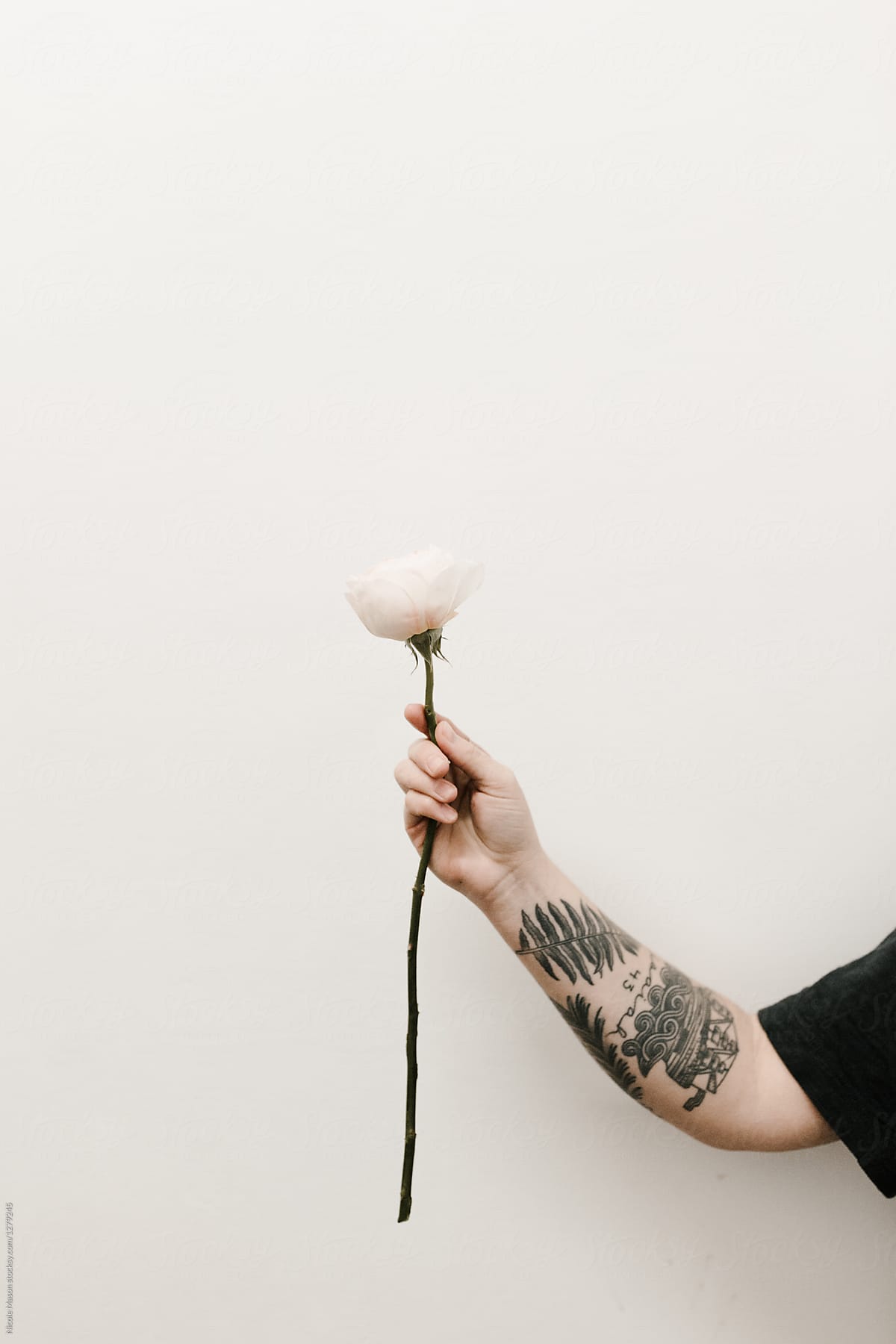 tattooed arm holding flower against white wall
