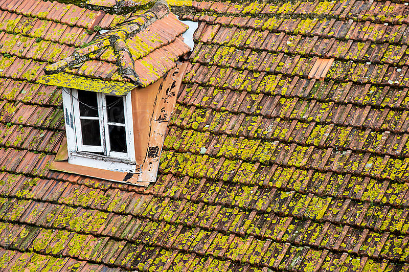 Attic and roof of tiles in Oporto, Portugal