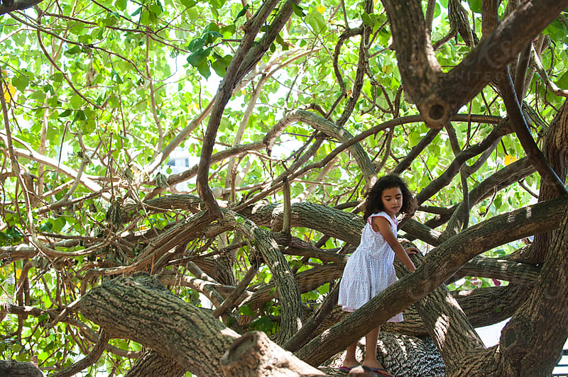 Girl plays in large trees