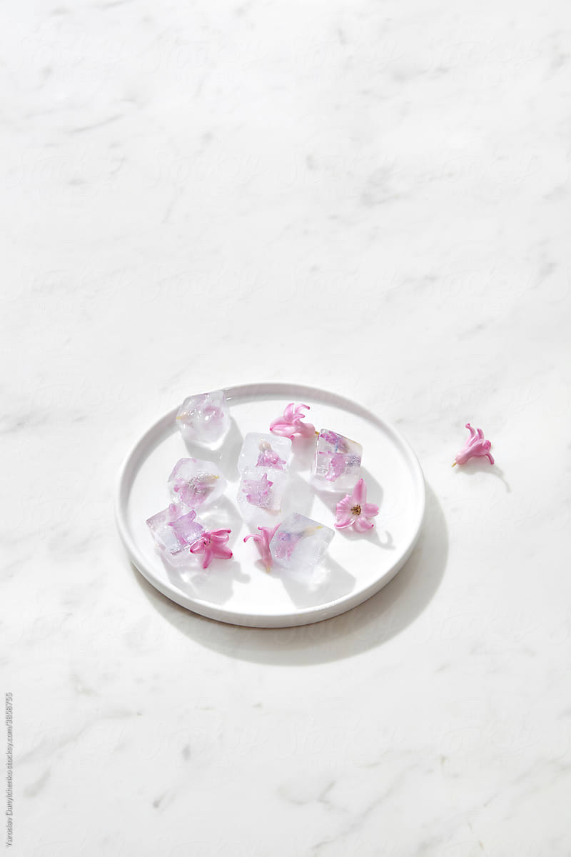 Ice cubes with flowers on white plate
