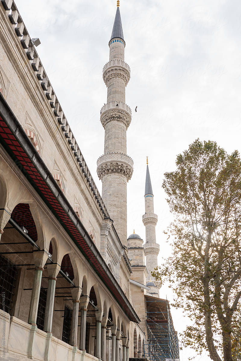 Fragment Of Blue Mosque In Turkey, Istanbul